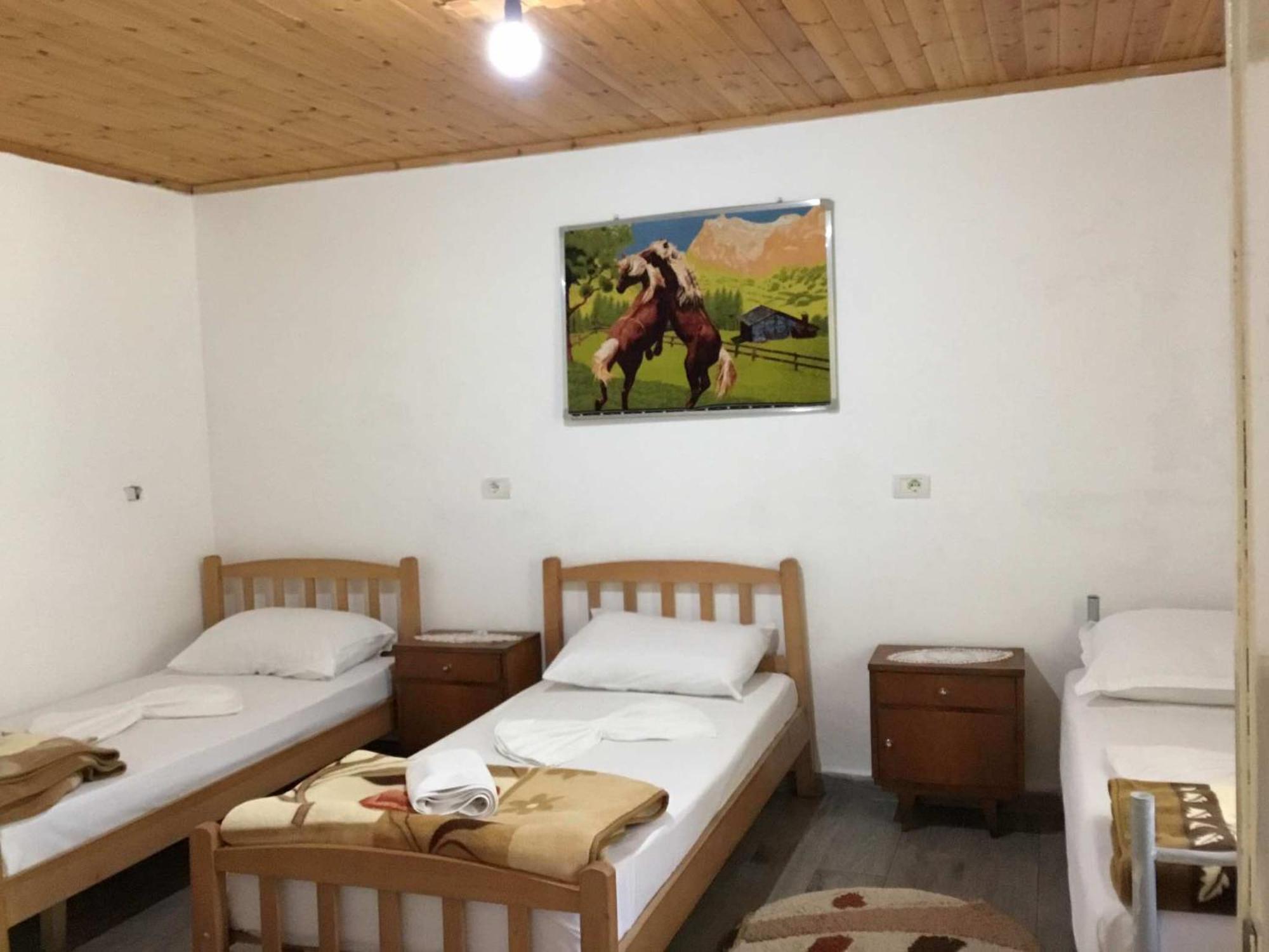 Zariklis Hotel Theth Buitenkant foto